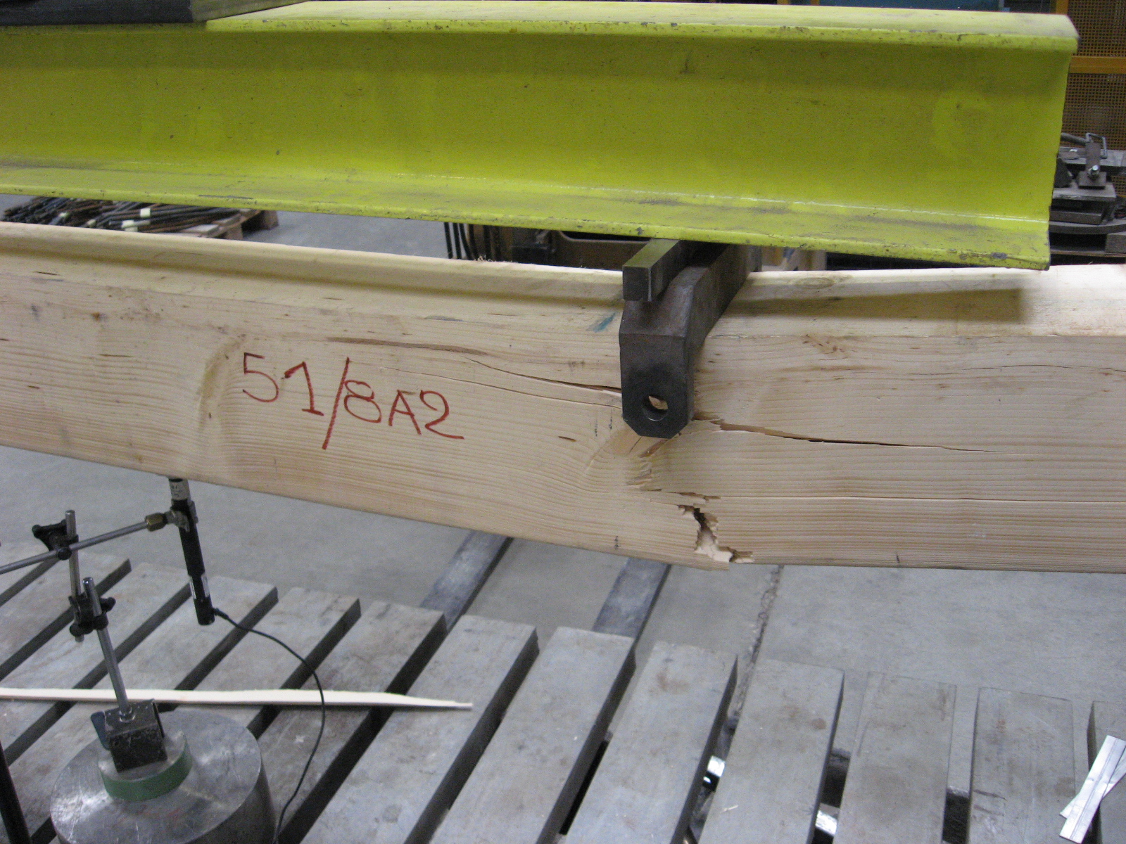 Flessione e modulo elastico globale su trave di legno